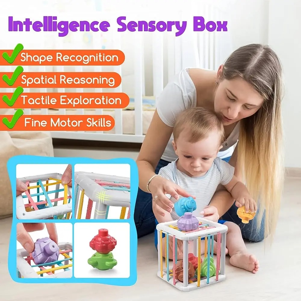 Rainbow Colorful Montessori Sh - Baby Products Toys บทวิจารณ์และราคา